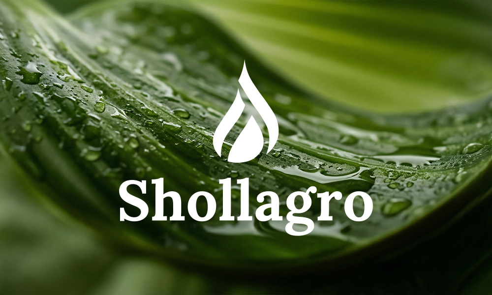 Shollagro